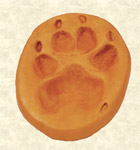 Clay Pawprint memorial